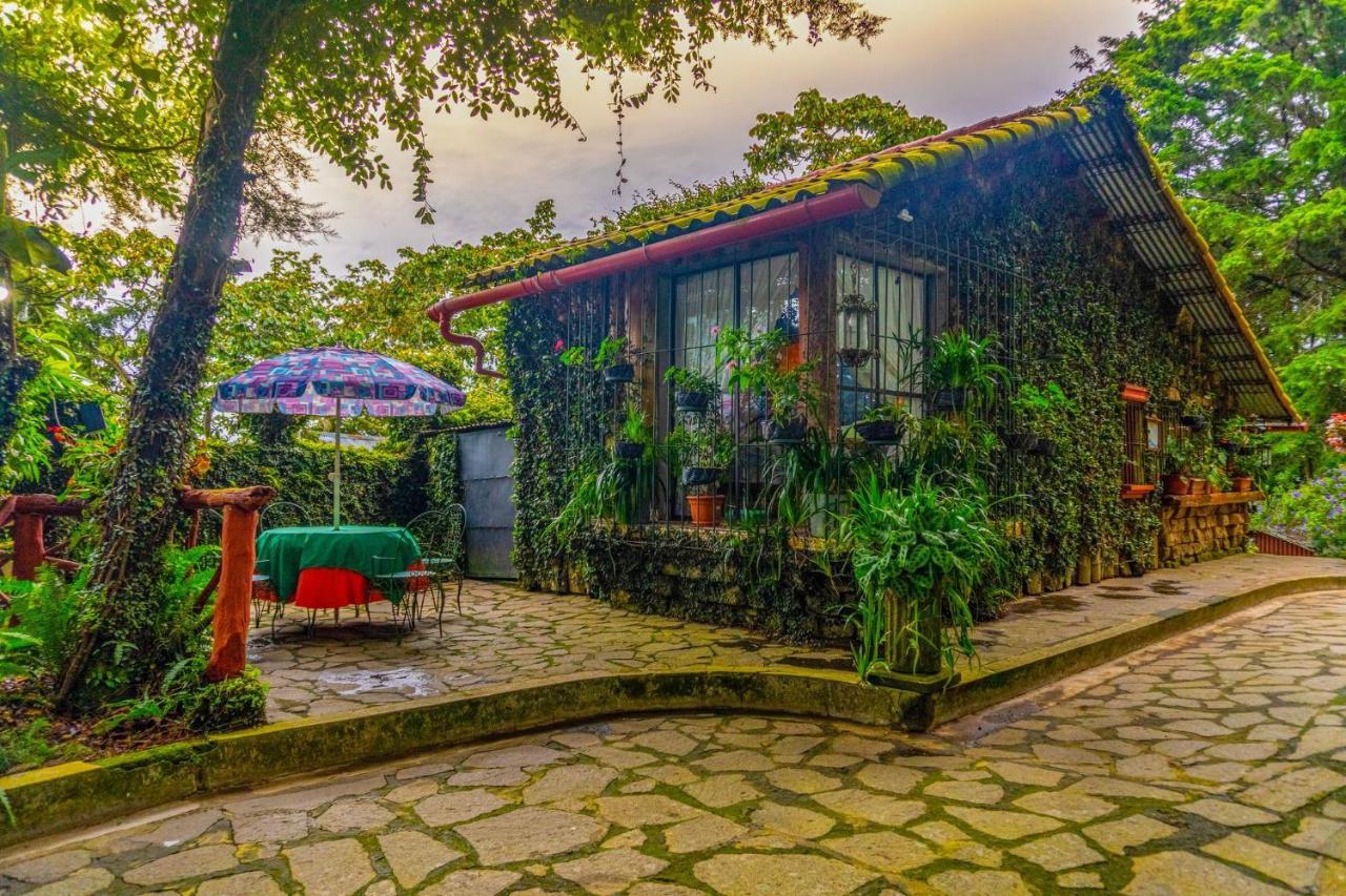 Los Naranjos Town Houses Esterno foto